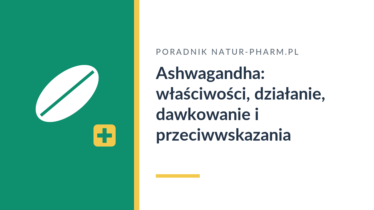Ashwagandha: właściwości, działanie, dawkowanie i przeciwwskazania