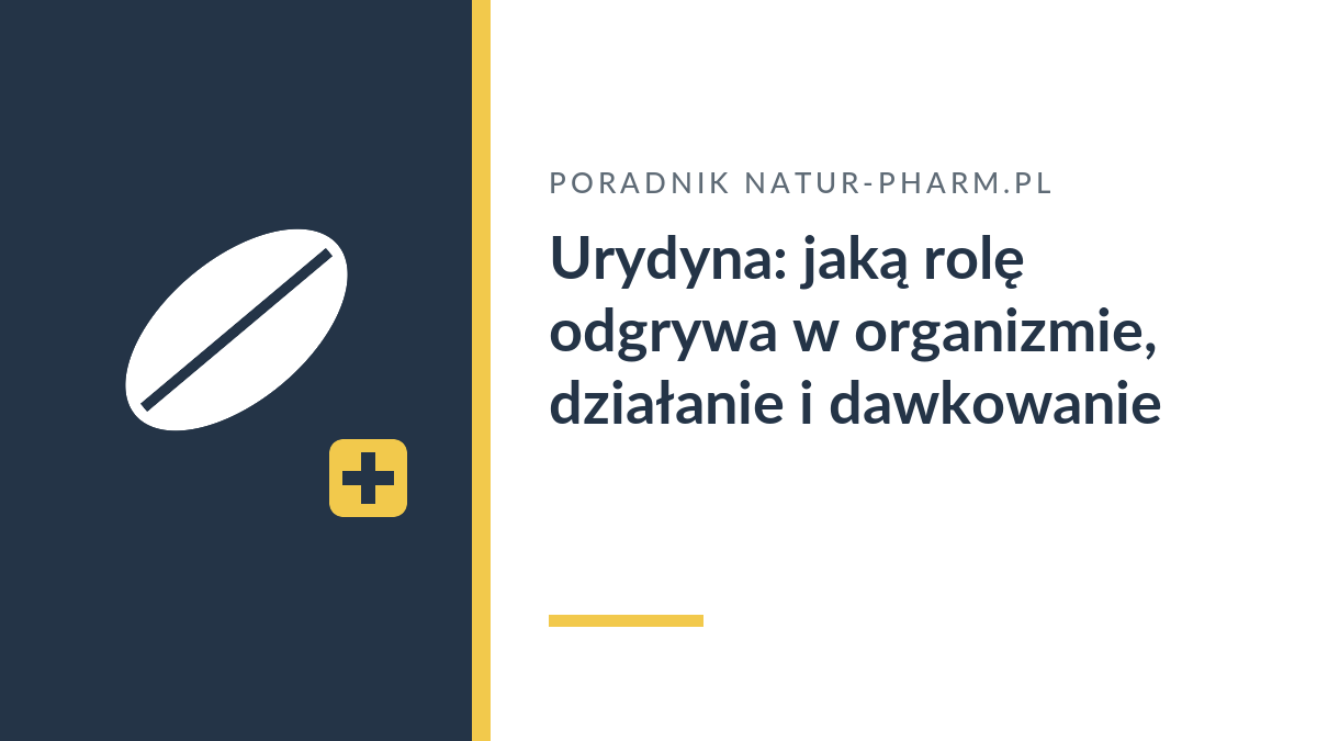 Urydyna: jaką rolę odgrywa w organizmie, działanie i dawkowanie